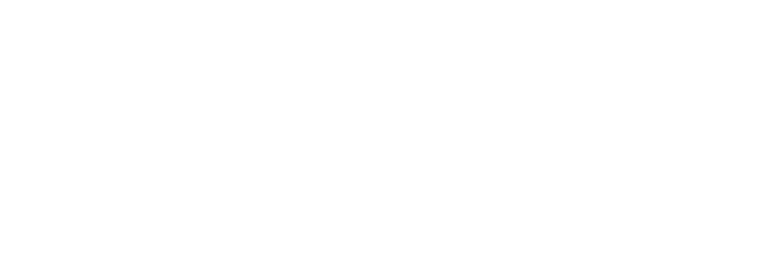 BSB Logo